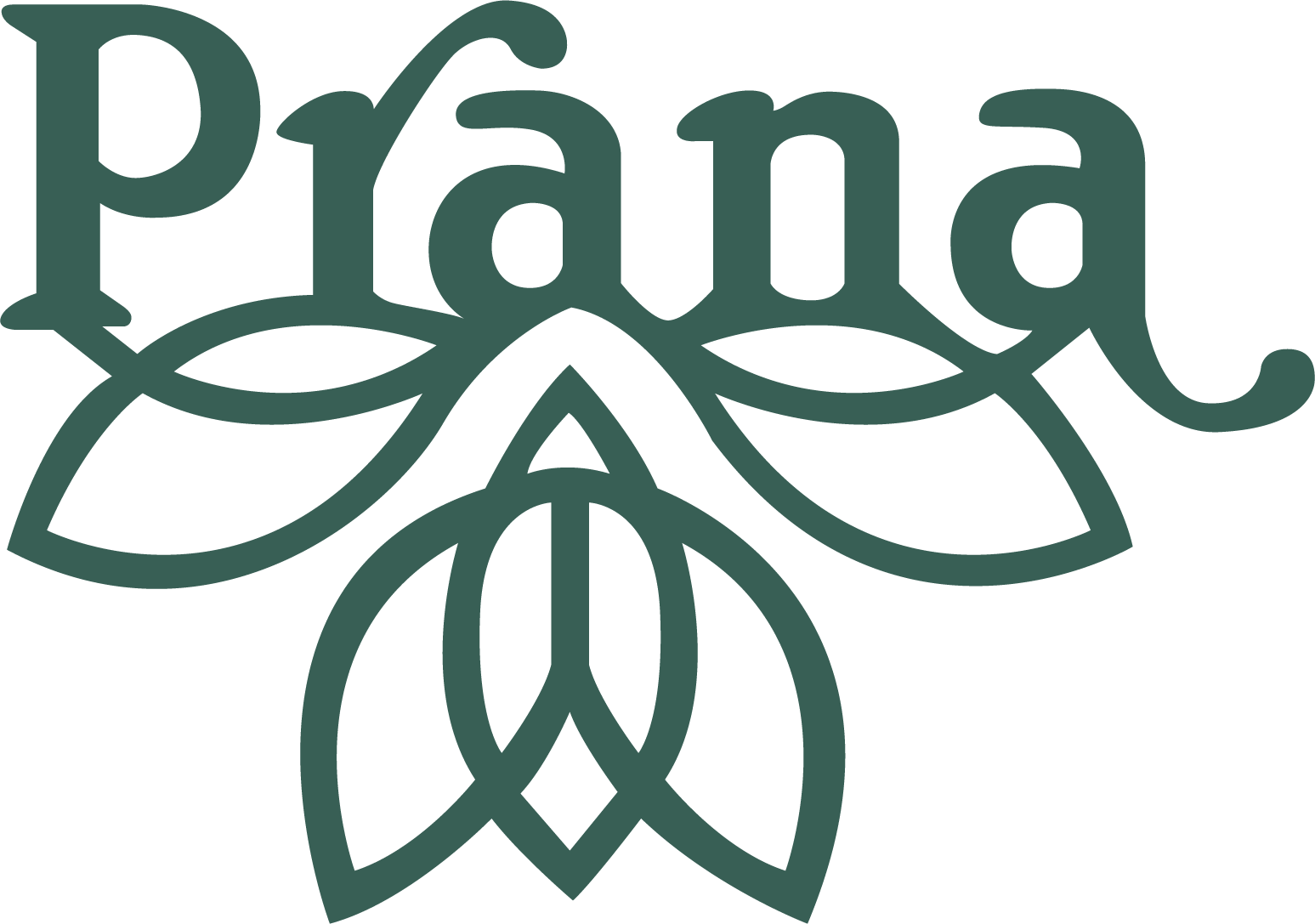 Prana Yoga